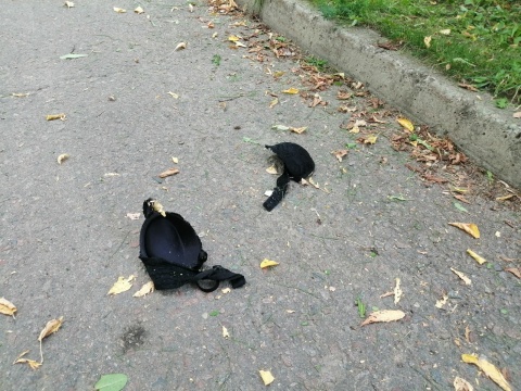 Утро субботы.jpg